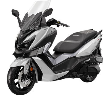 CRUISYM 300