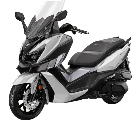 CRUISYM 300